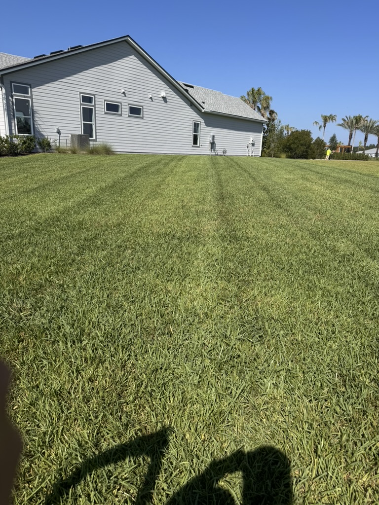 grass stripes