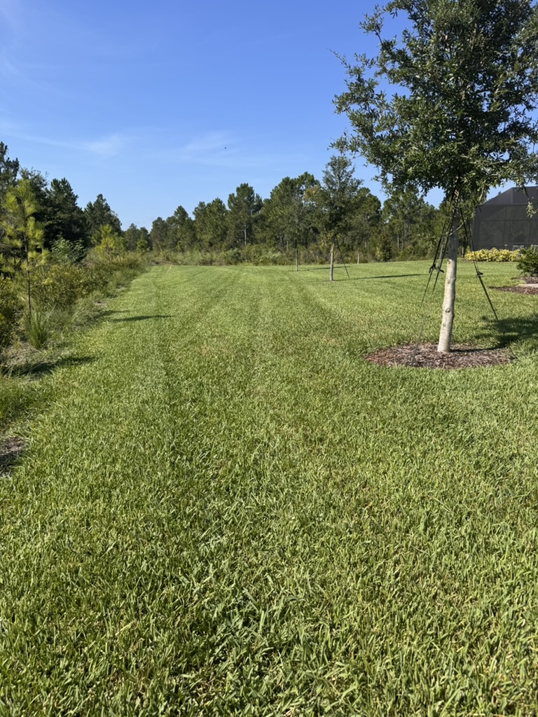 grass stripes