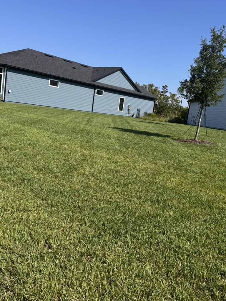 grass stripes